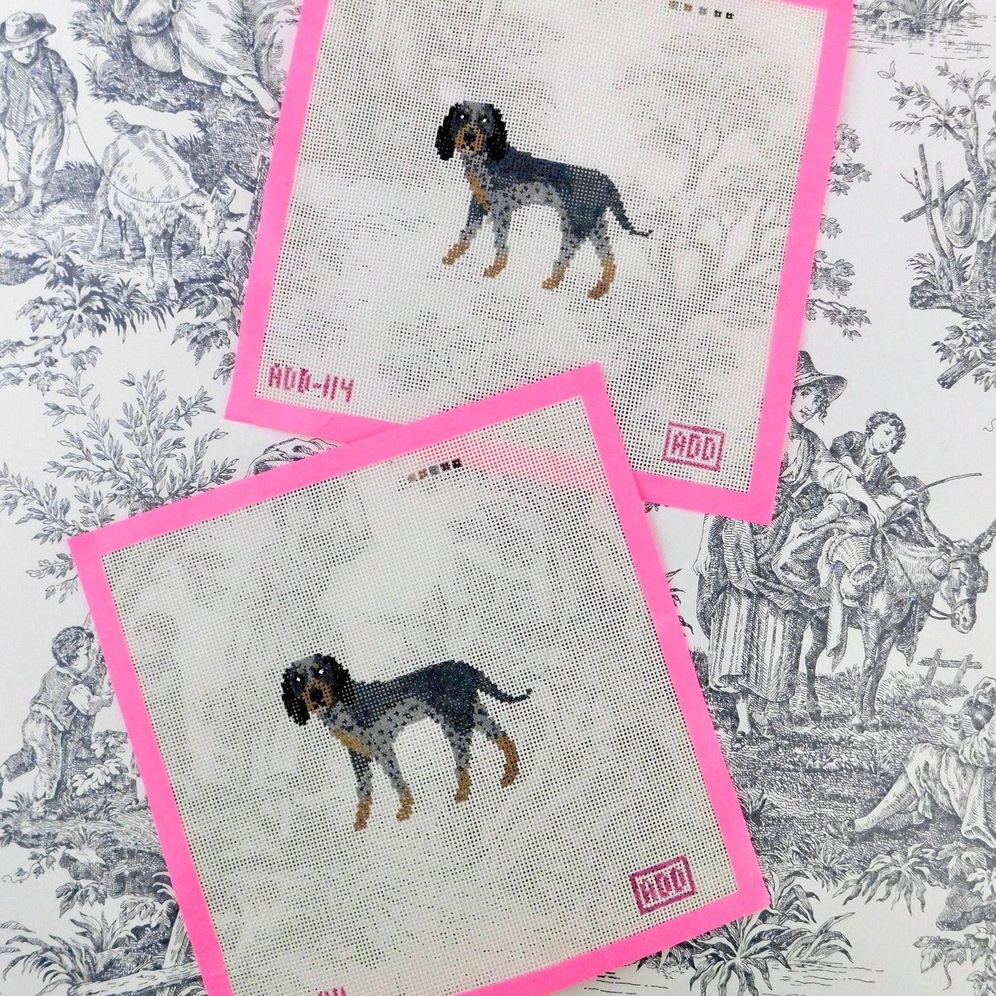 Blue Tick Hound