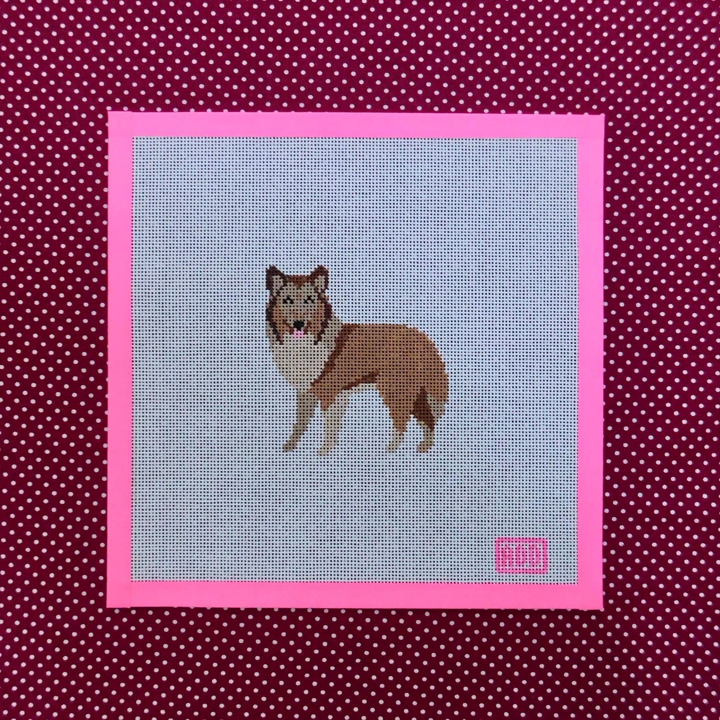Collie