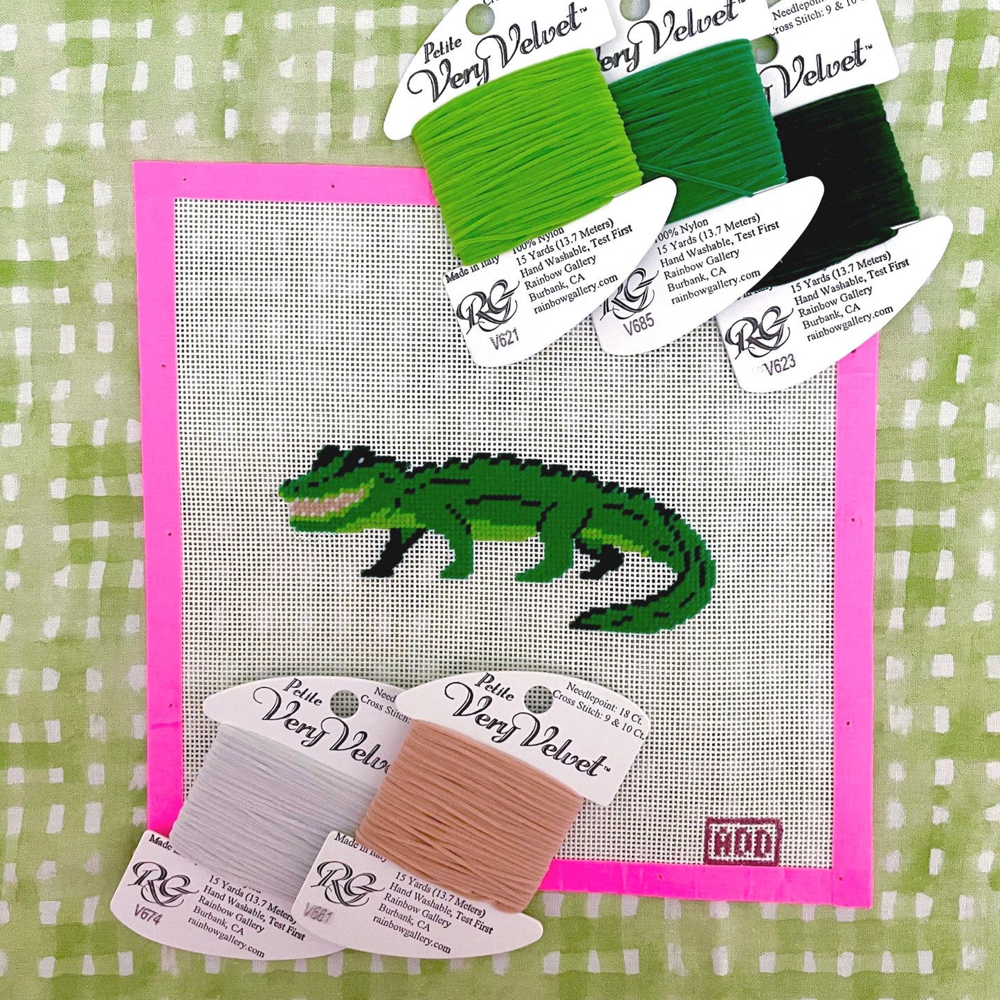 Alligator